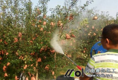 葉面肥使用時間 葉面肥使用時間